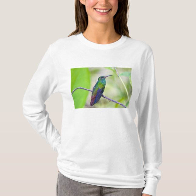 South America, Costa Rica, Sarapiqui, La Selva T-Shirt (Front)