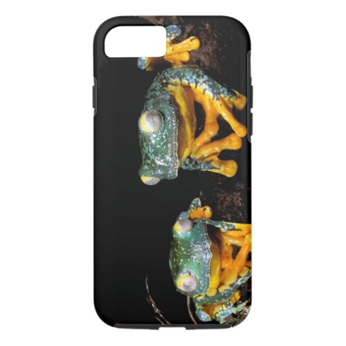 South America Ecuador Amazon Leaf frogs iPhone 87 Case