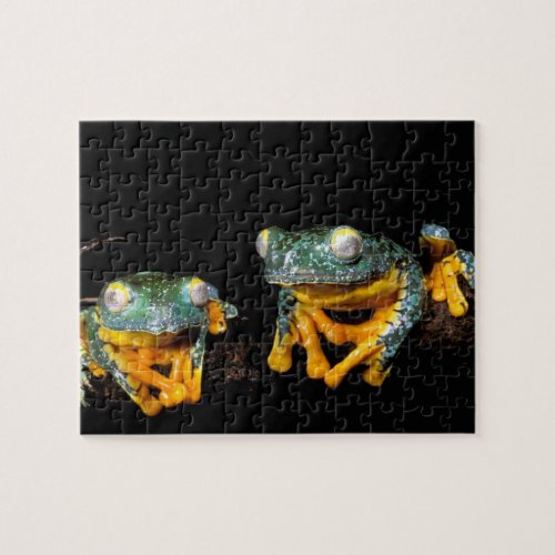 South America Ecuador Amazon Leaf frogs Jigsaw Puzzle