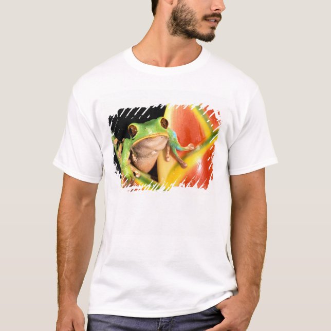 South America, Ecuador, Amazon. Tree frog T-Shirt (Front)