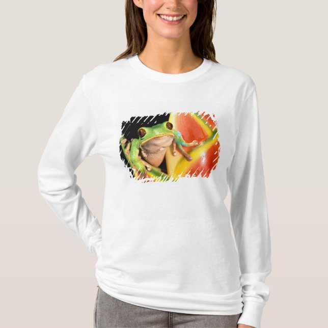 South America, Ecuador, Amazon. Tree frog T-Shirt (Front)