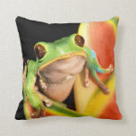 South America, Ecuador, Amazon. Tree frog Throw Pillow South America, Ecuador, Amazon. Tree frog Throw Pillow