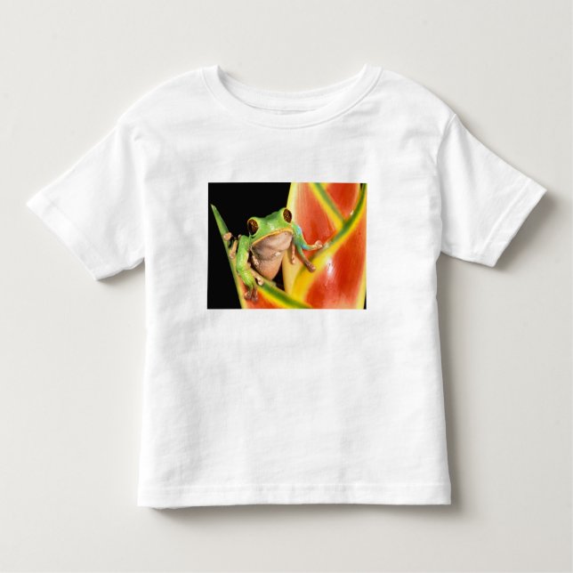 South America, Ecuador, Amazon. Tree frog Toddler T-shirt (Front)