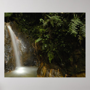 South America, Ecuador, eastern slope of the Poster