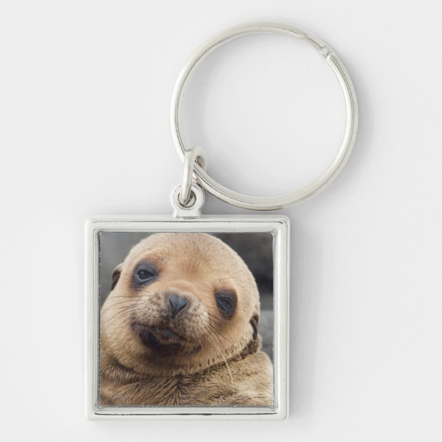 South America, Ecuador, Galapagos Islands Keychain (Front)