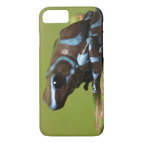 South America Panama Close_up of blue and iPhone 87 Case