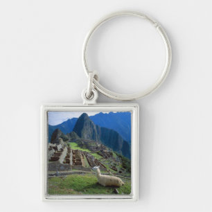 South America, Peru. A llama rests on a hill Keychain