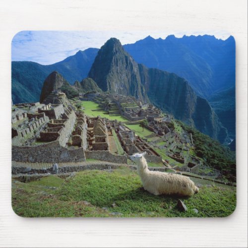 South America Peru A llama rests on a hill Mouse Pad