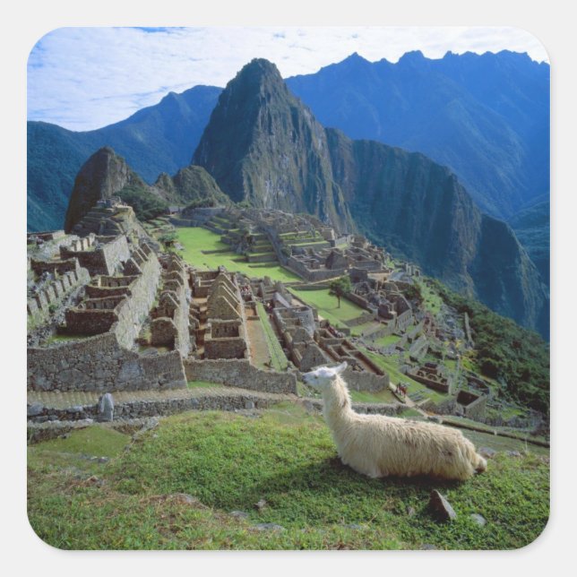 South America, Peru. A llama rests on a hill Square Sticker (Front)
