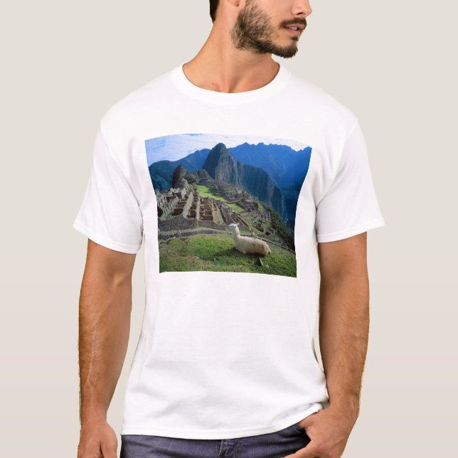 South America, Peru. A llama rests on a hill T-Shirt (Front)