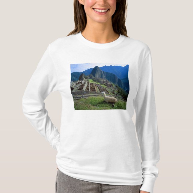South America, Peru. A llama rests on a hill T-Shirt (Front)