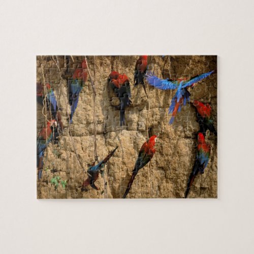 South America Peru Manu National Park Jigsaw Puzzle