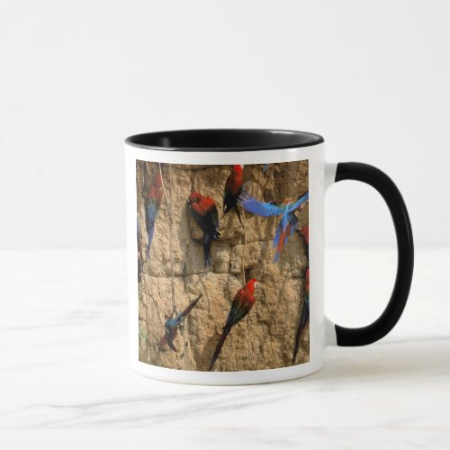 South America Peru Manu National Park Mug