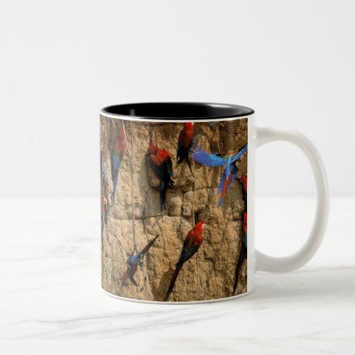 South America Peru Manu National Park Two_Tone Coffee Mug