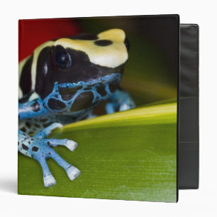 South America, Republic of Surinam. Close-up 3 Ring Binder