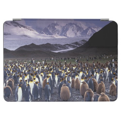 South America South Georgia Island King iPad Air Cover