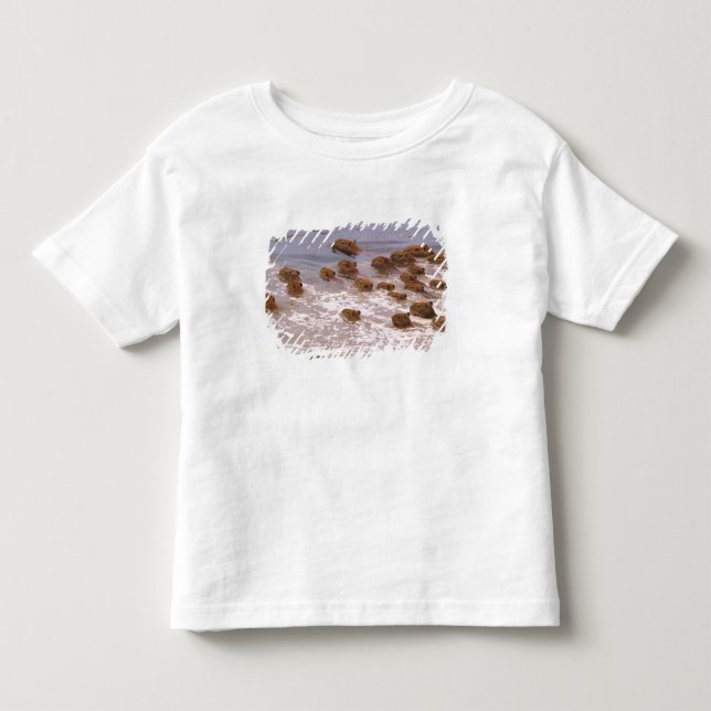 South America, Venezuela, Llano region. Toddler T-shirt (Front)
