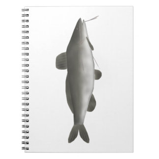 South American Catfish Notebook