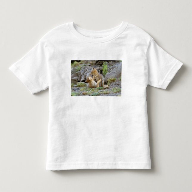 South American Gray Fox (Lycalopex griseus) pair 2 Toddler T-shirt (Front)