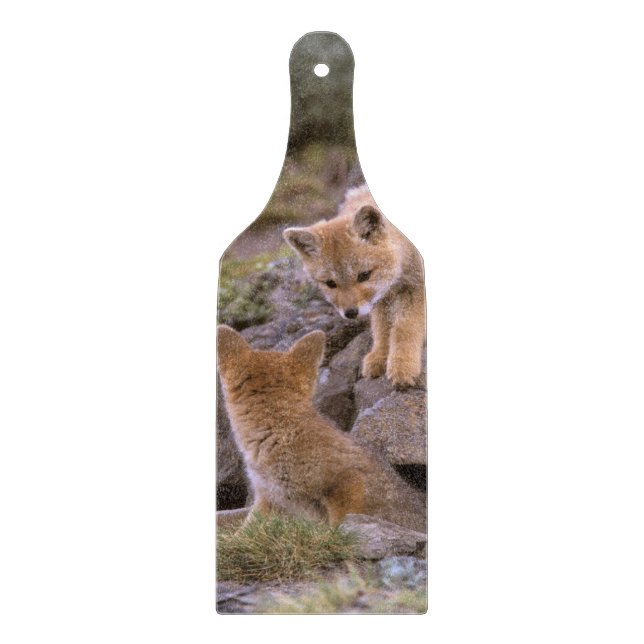 South American Gray Fox (Lycalopex griseus) pair Cutting Board (Front)