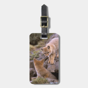 South American Gray Fox (Lycalopex griseus) pair Luggage Tag