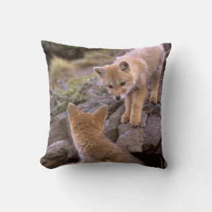 South American Gray Fox (Lycalopex griseus) pair Throw Pillow