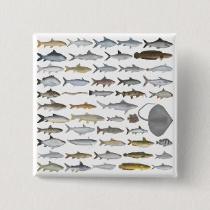 South Asia Freshwater Fish Group Button
