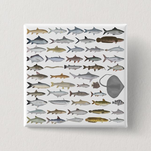 South Asia Freshwater Fish Group Button (Front)