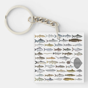 South Asia Freshwater Fish Group Keychain