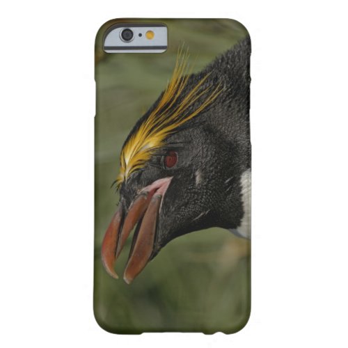 South Atlantic Ocean South Georgia Island 2 Barely There iPhone 6 Case