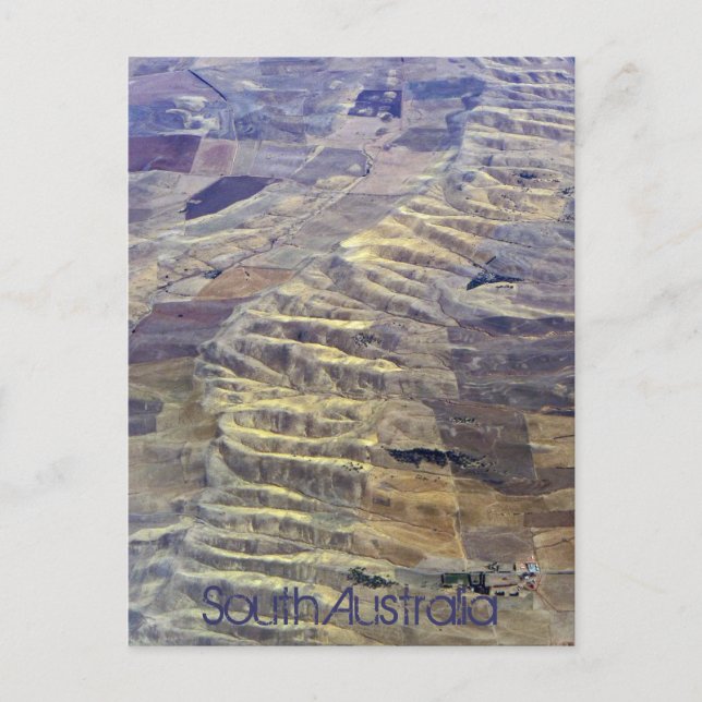 South Australia Postcard (Front)