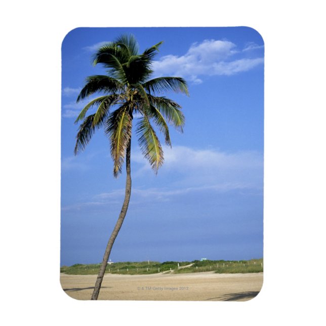 South Beach, Miami Beach, Florida, USA Magnet (Vertical)