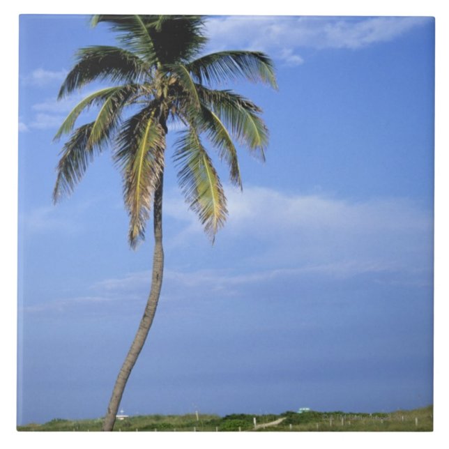 South Beach, Miami Beach, Florida, USA Tile (Front)