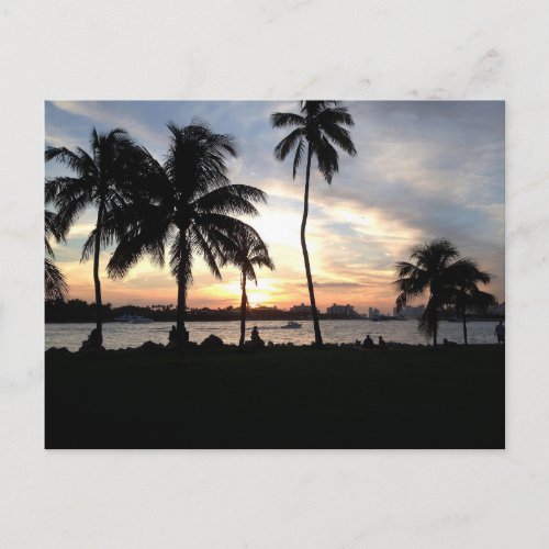 South Beach Miami Palm Trees at Sunset Postcard