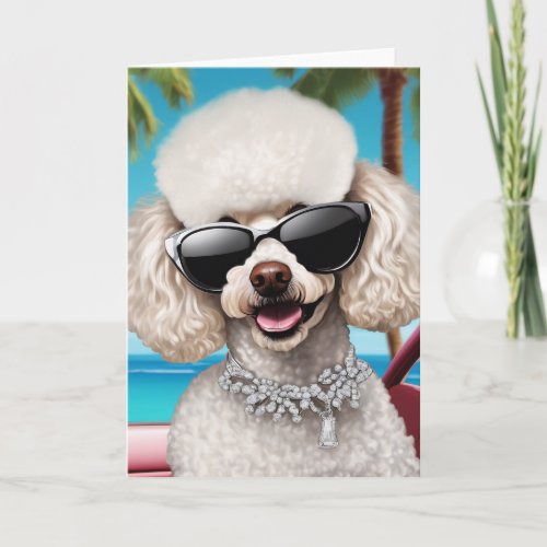 South Beach White Poodle Blank Card 