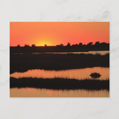 South Cape Beach Marshes at Sunset Mashpee Cape Co Postcard