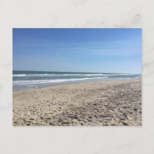 South Carolina Beach Shoreline Postcard