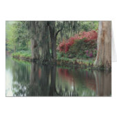 South Carolina, Charleston (Front Horizontal)