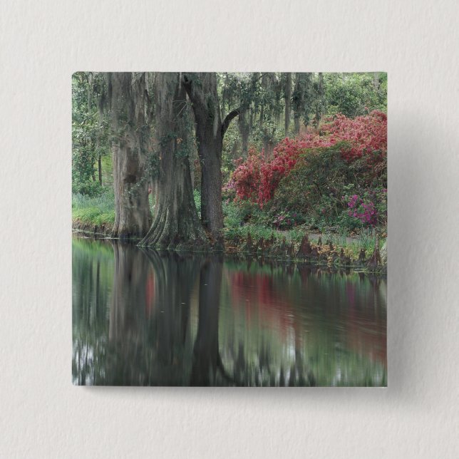 South Carolina, Charleston Button (Front)