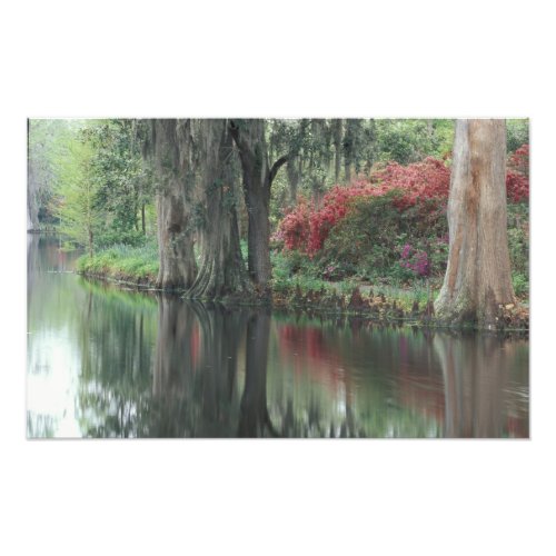 South Carolina Charleston Photo Print