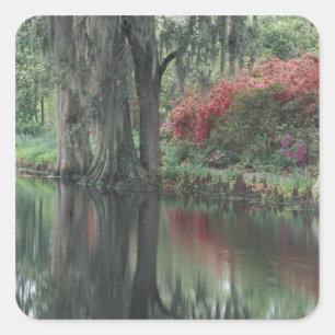 South Carolina, Charleston Square Sticker