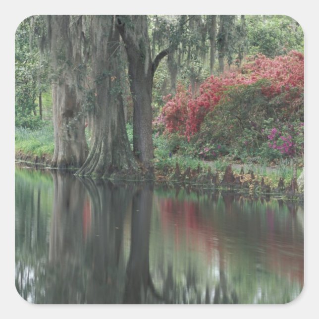 South Carolina, Charleston Square Sticker (Front)