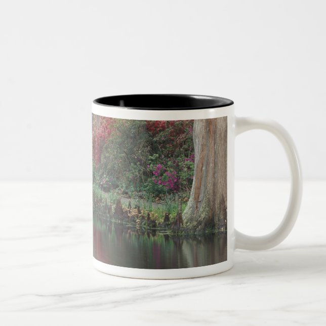 South Carolina, Charleston Two-Tone Coffee Mug (Right)