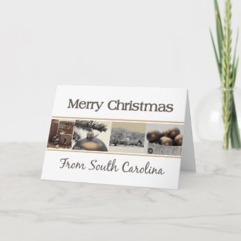 South Carolina  Christmas Card  State Specific Holiday Card by PortoSabbiaNatale at Zazzle