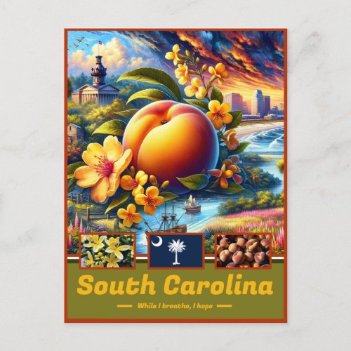 South Carolina Enchanting Vistas Scenic Postcard