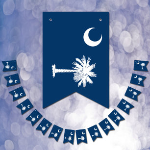 South Carolina Flag Party, bunting Banner /Wedding