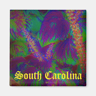 South Carolina magnet