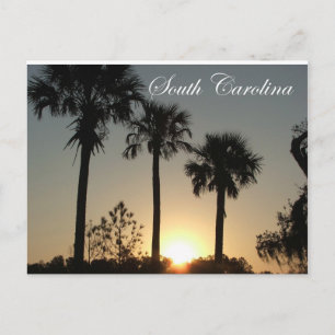 South Carolina Palmetto Sunrise Postcard