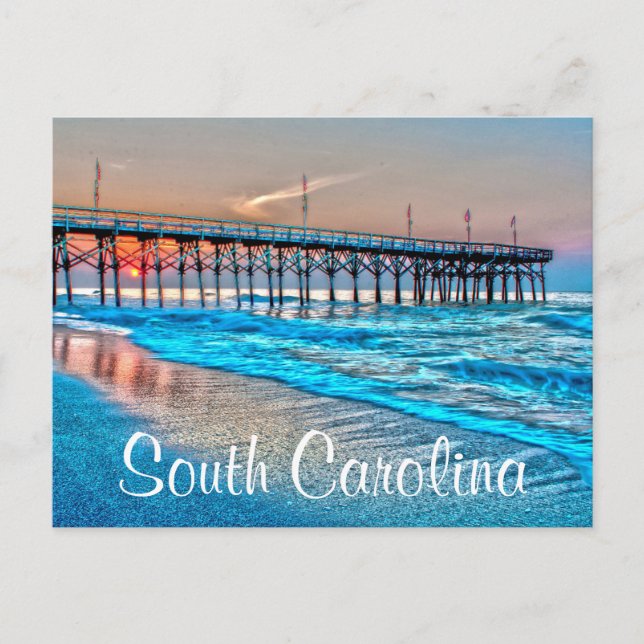 south carolina postcard (Front)