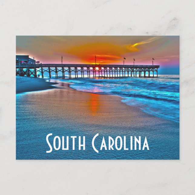 south carolina postcard (Front)